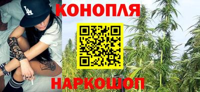 мяу мяу мука Малоярославец