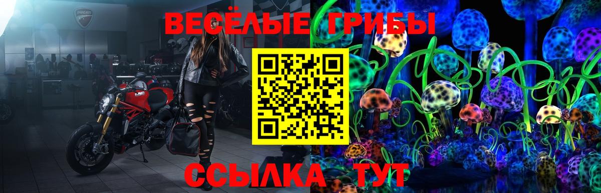 Галлюциногенные грибы прущие грибы Южно-Сахалинск